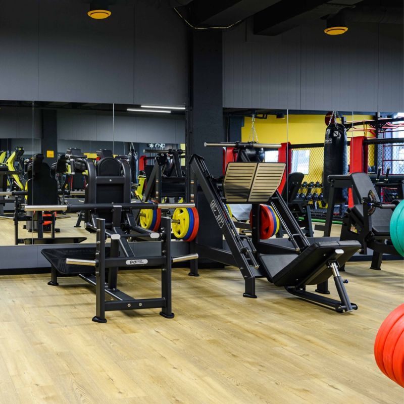 Тренажер Жим ногами под углом 45 крадусов Fusion Pro ZS-1109