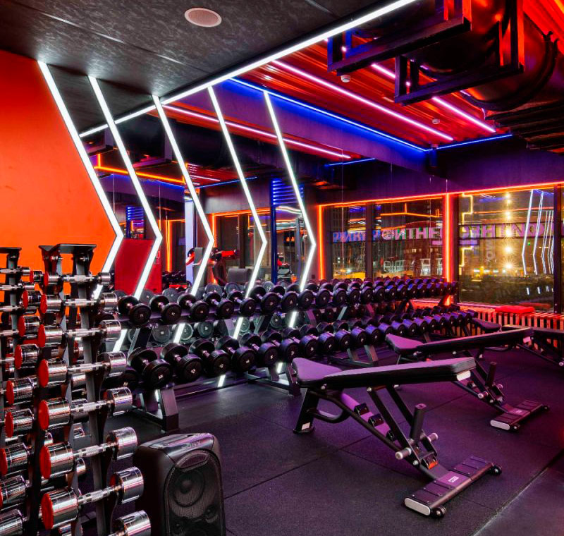 Скамья универсальная, мобильная Fusion Pro ZS-1080