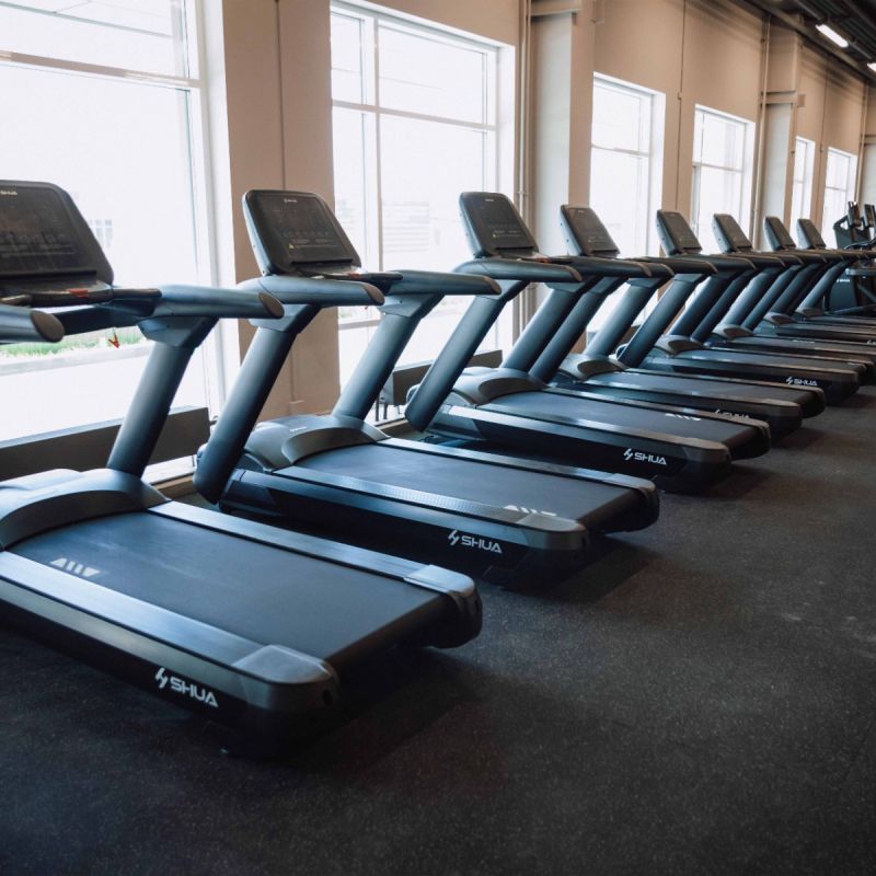 Профессиональная беговая дорожка SHUA X9 SH-1198