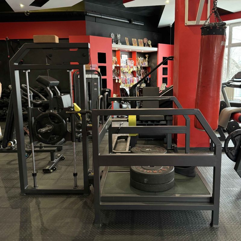 Тренажер для приседания с поясом Tangen ZS-1147