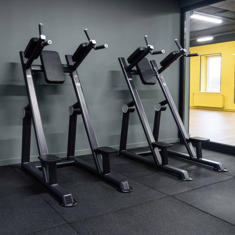 Тренажер Брусья-пресс PRESTIGE ZS-1356