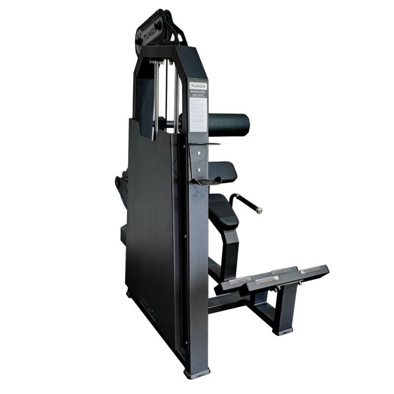 Тренажер Разгибание спины, стек 100 кг Tangen ZS-1241