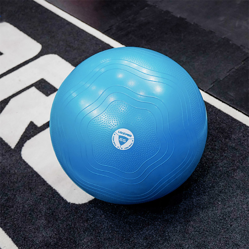 Гимнастический мяч LIVEPRO Anti-Burst Core Ball диаметр 55 см, фиолетовый