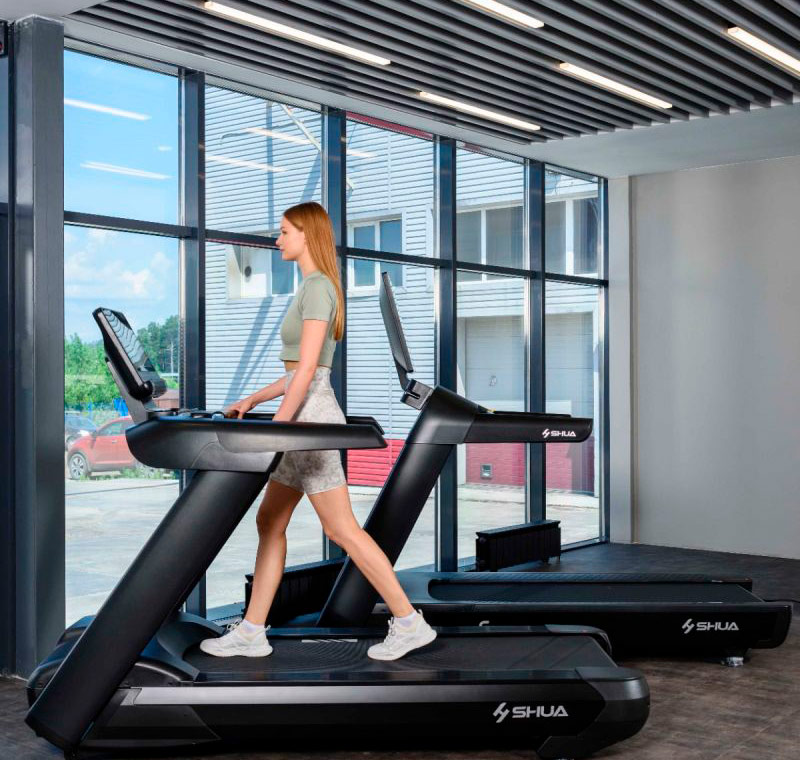 Профессиональная беговая дорожка SHUA SH-T8919T