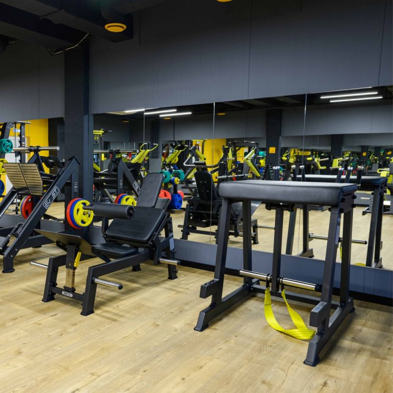 Скамья для обратной экстензии Tangen ZS-1134