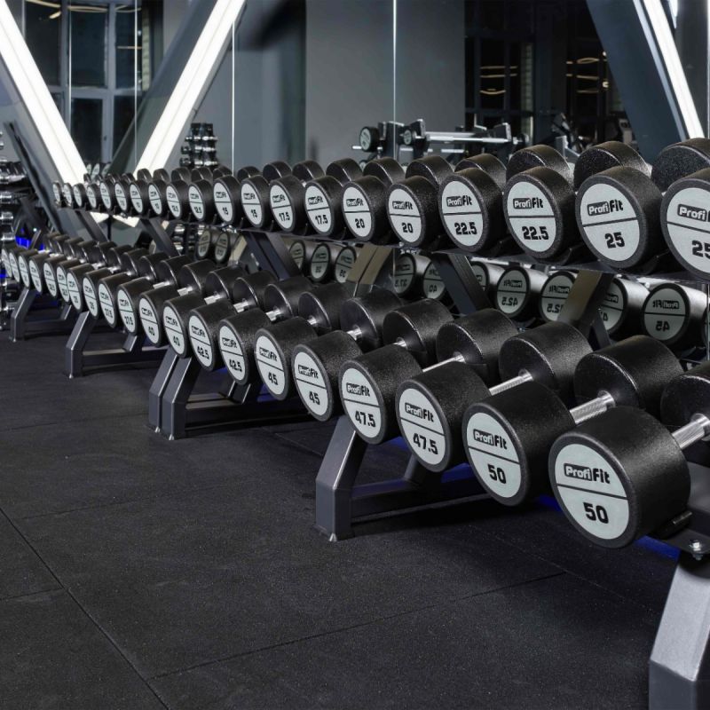 Гантель полиуретановая LEVEL PROFI-FIT 60 кг ZS-1308