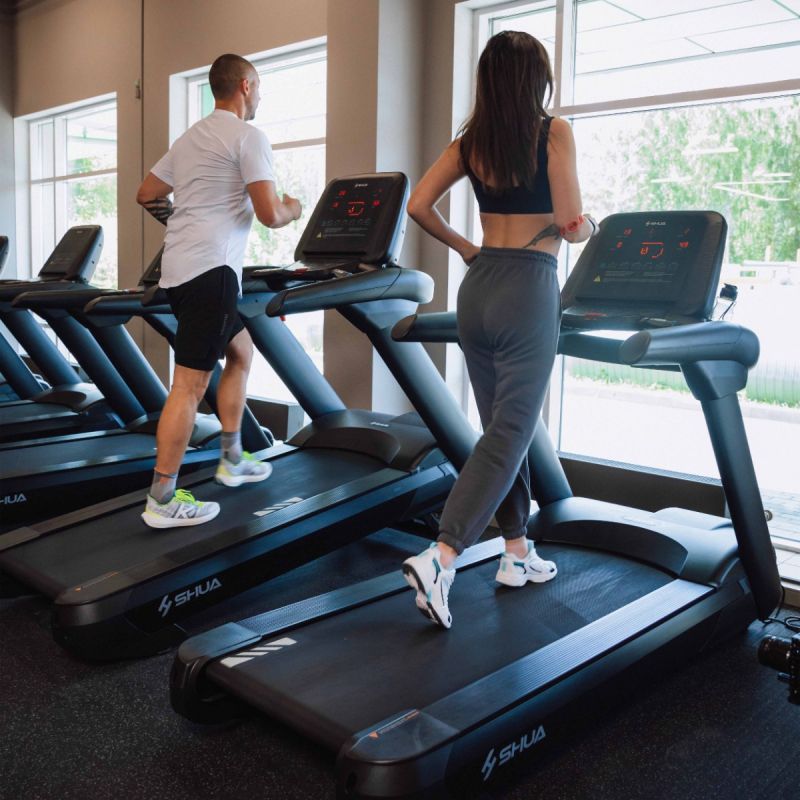 Профессиональная беговая дорожка SHUA X9 SH-1198