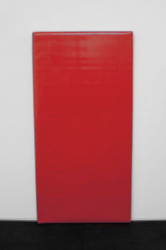 Стеновой протектор 200х100см на жесткой основе, цвет красный