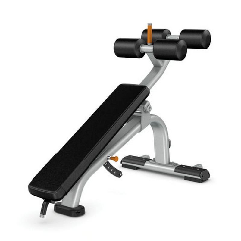 Скамья для пресса PRECOR Discovery Line DBR 113 черный