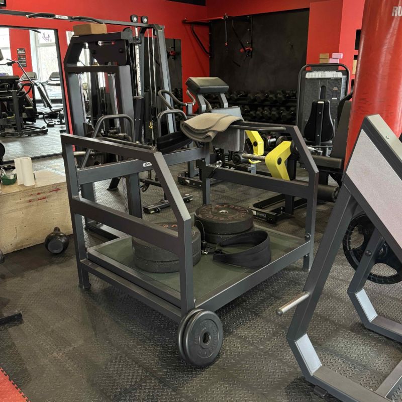 Тренажер для приседания с поясом Tangen ZS-1147