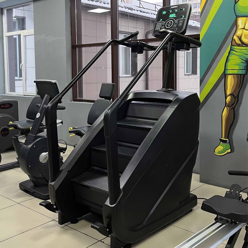 Тренажер-лестница TANGEN ZS-1194