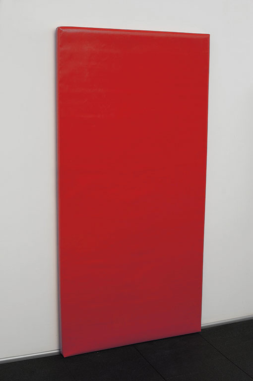 Стеновой протектор 200х100см на жесткой основе, цвет красный