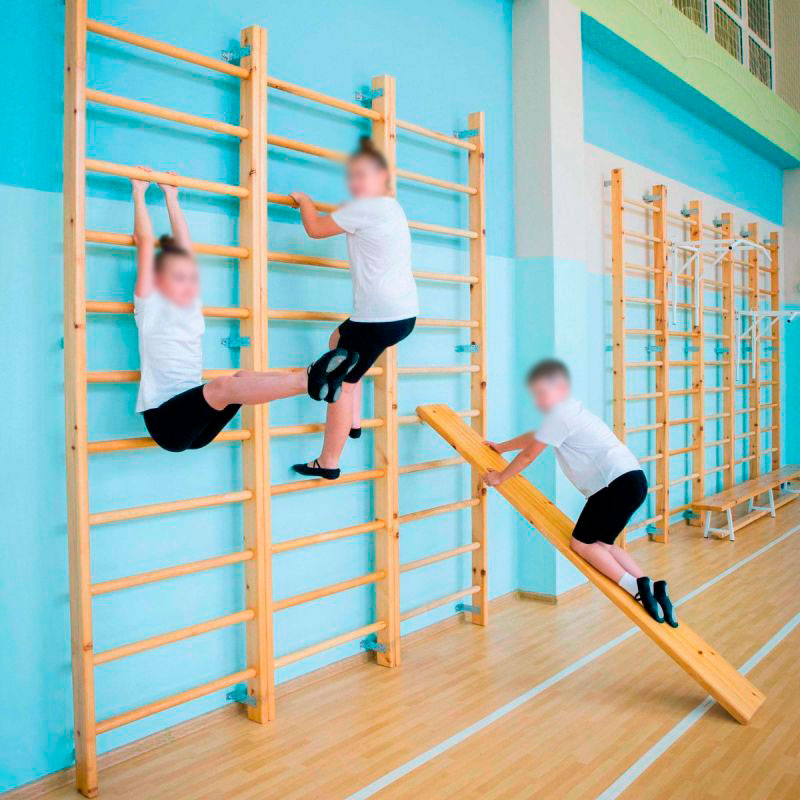 Доска наклонная гладкая 240х2000 мм для крепления к гимнастич. стенке ЗС-1185