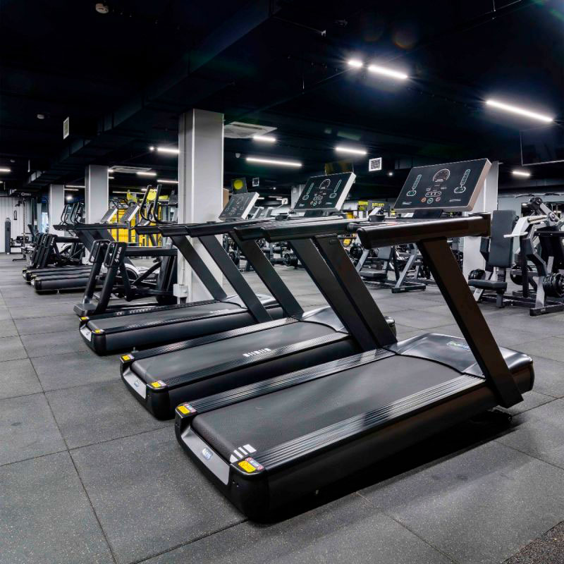 Профессиональная беговая дорожка DHZ X-8600 PROF