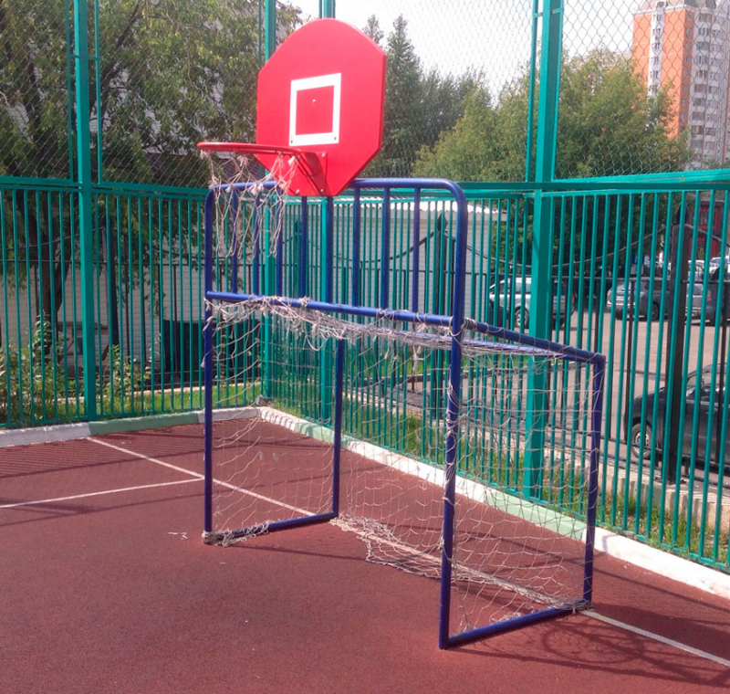 Хоккейные ворота со стритбольным щитом ГТ-287