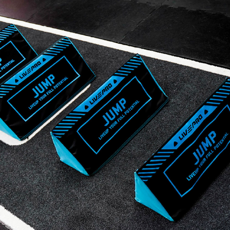 Набор барьеров LIVEPRO Lateral Endurance Hurdle набор, 4 штуки, синий/черный