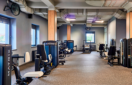 Фитнес-клуб "Gorilla Fitness"