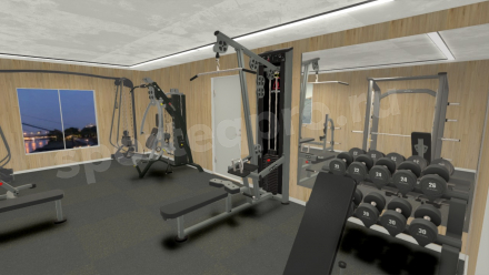 3D расстановка домашнего спортивного зала 20 кв.м.